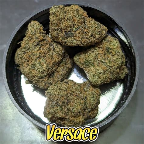 versace strain|versace strain review.